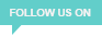 Follow Us